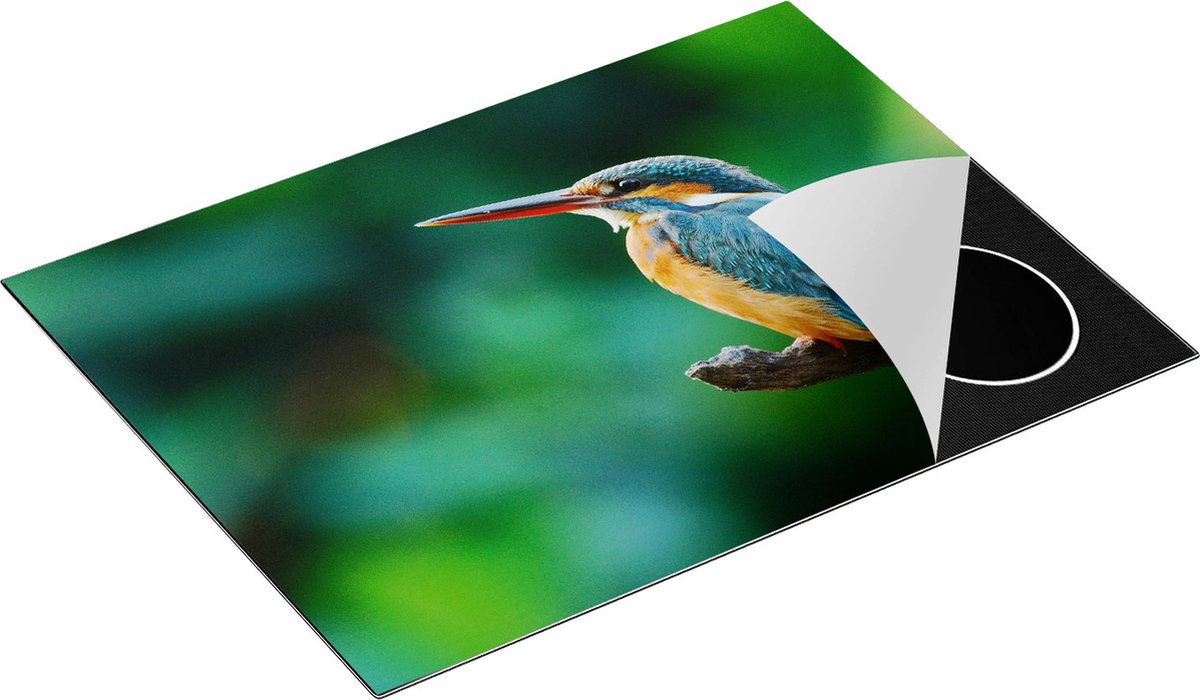 Chefcare Inductie Beschermer Blauw Oranje IJsvogel op een Tak - 71x52 cm - Afdekplaat Inductie - Kookplaat Beschermer - Inductie Mat