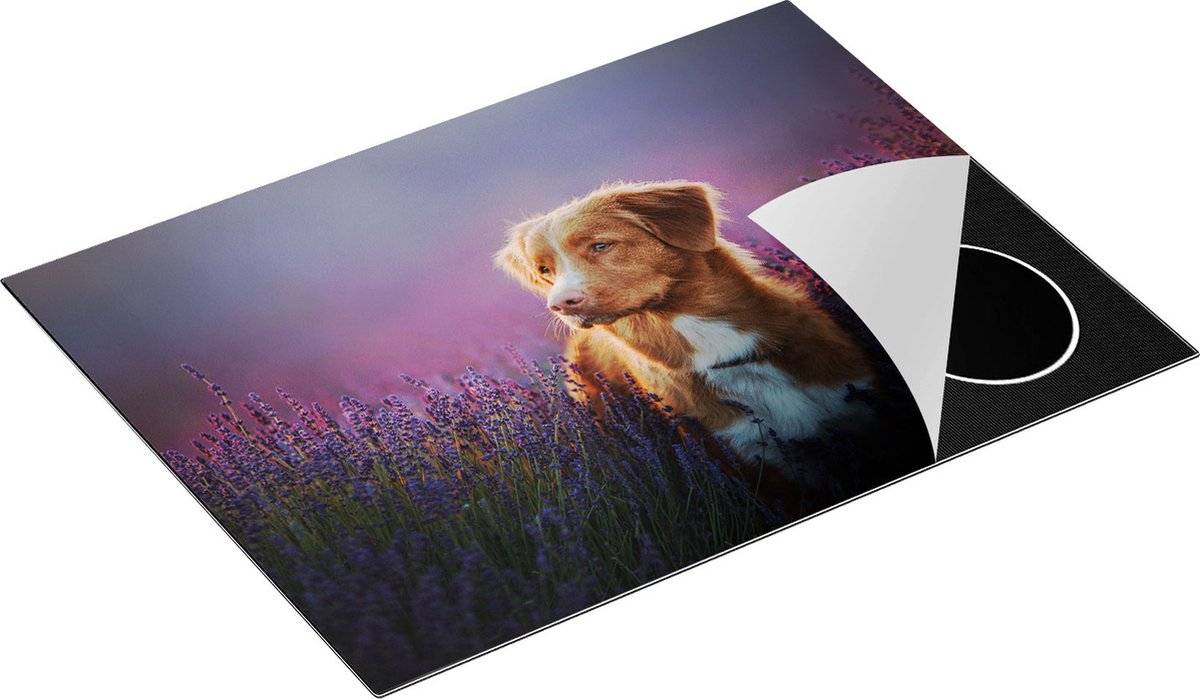 Chefcare Inductie Beschermer Retriever Hond tussen de Lavendel Bloemen - 70x55 cm - Afdekplaat Inductie - Kookplaat Beschermer - Inductie Mat