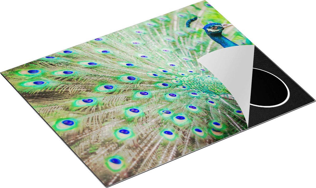 Chefcare Inductie Beschermer Pauw met Kleurrijke Veren - 65x50 cm - Afdekplaat Inductie - Kookplaat Beschermer - Inductie Mat