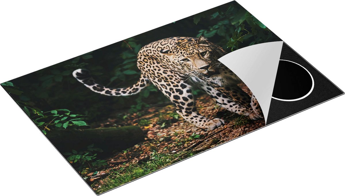Chefcare Inductie Beschermer Luipaard in het Bos - 81x52 cm - Afdekplaat Inductie - Kookplaat Beschermer - Inductie Mat