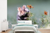 Behang - Fotobehang Hamster die zich verstopt achter een bloem - Breedte 525 cm x hoogte 350 cm