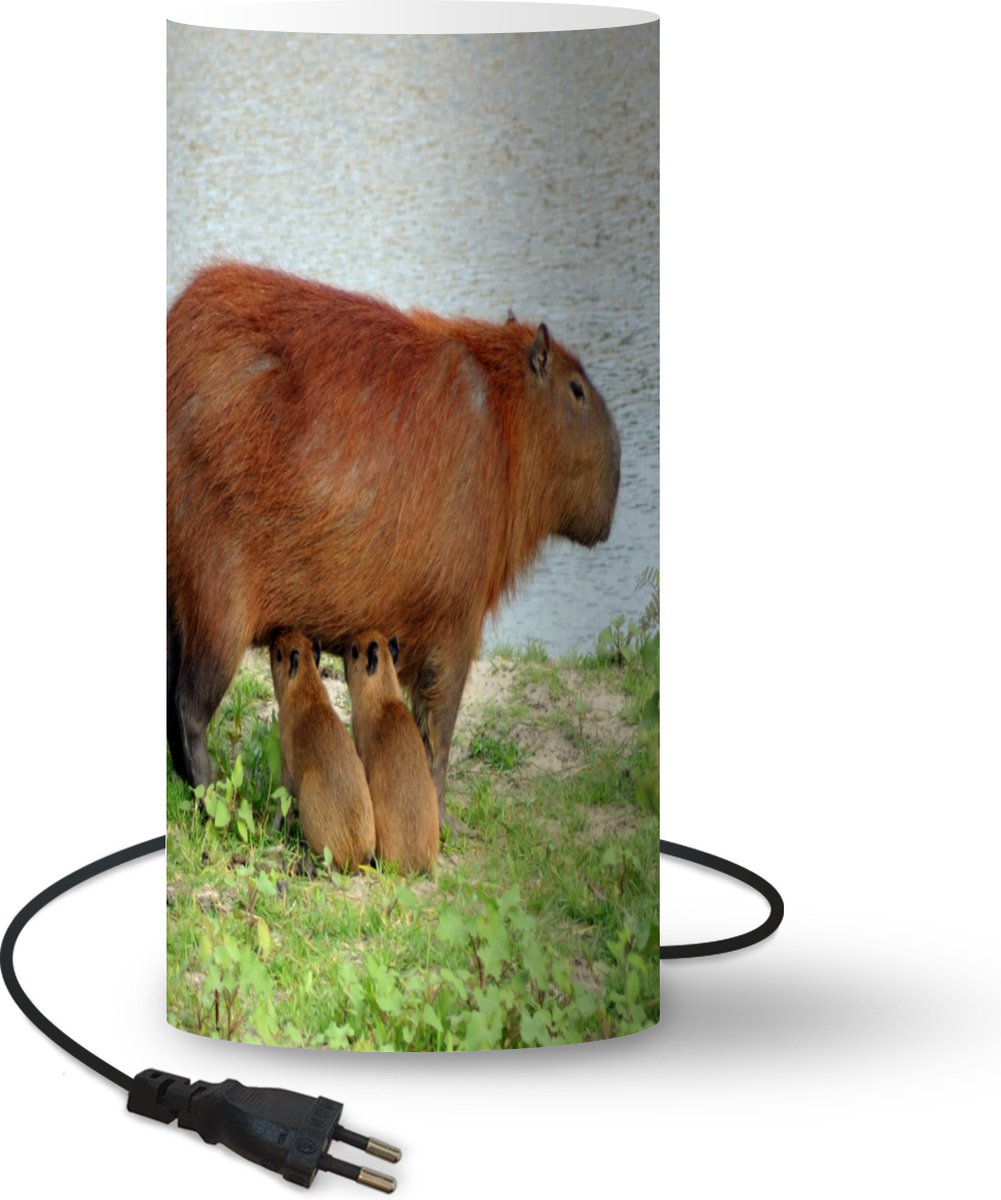 Lampe - Veilleuse - Lampe de table chambre - Un Capybara avec