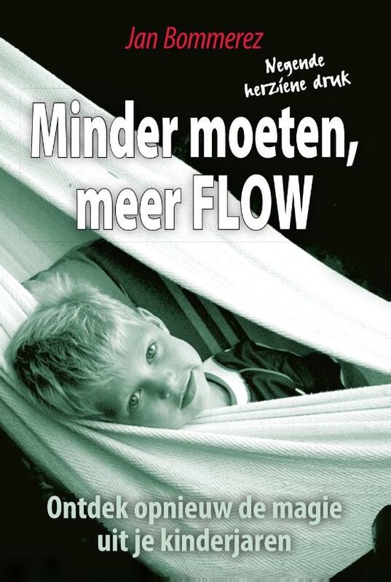 Boek: Minder moeten meer Flow, geschreven door Jan Bommerez