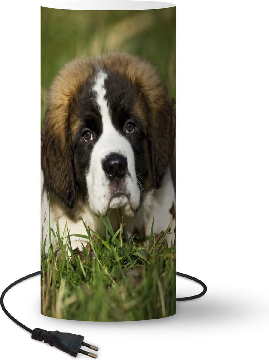 Lamp - Nachtlampje - Tafellamp slaapkamer - Sint Bernard puppie liggend in het gras - 33 cm hoog - Ø14.3 cm - Inclusief LED lamp