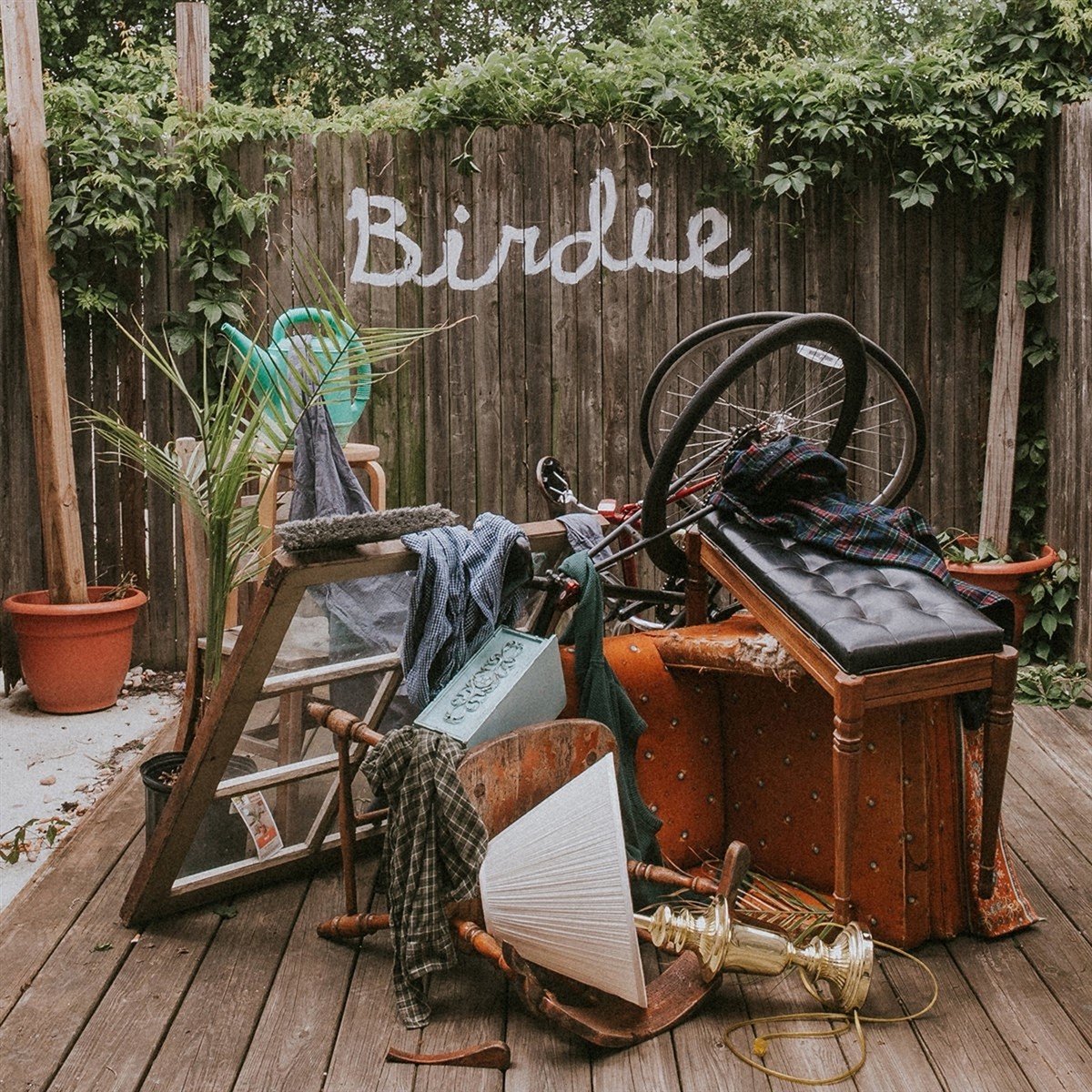 Slaughter Beach, Dog - Birdie (LP) (Coloured Vinyl)