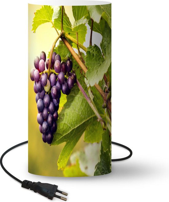 Lamp Druiven - tros met druiven aan wijnrank lamp - 33 cm hoog - Ø16 cm -  Inclusief... | bol.com