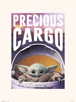 STAR WARS THE MANDALORIAN PRECIOUS CARGO - Art Print 30x40 cm