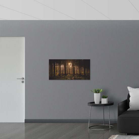 WallClassics - Drapeau - Soleil couchant entre les Arbres - Photo 100x50 cm sur drapeau en polyester