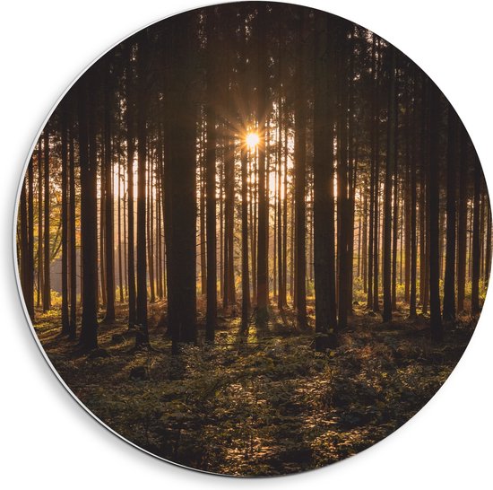 WallClassics - PVC Schuimplaat Muurcirkel - Ondergaande Zon tussen de Bomen - 40x40 cm Foto op Muurcirkel (met ophangsysteem)