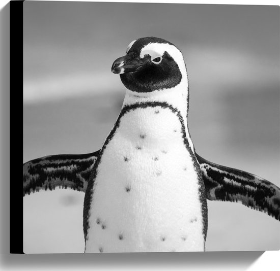WallClassics - Canvas  - Vrolijke Pinguïn Zwart / Wit - 40x40 cm Foto op Canvas Schilderij (Wanddecoratie op Canvas)