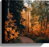 WallClassics - Canvas  - Herfst Bomen Langs Pad - 30x30 cm Foto op Canvas Schilderij (Wanddecoratie op Canvas)