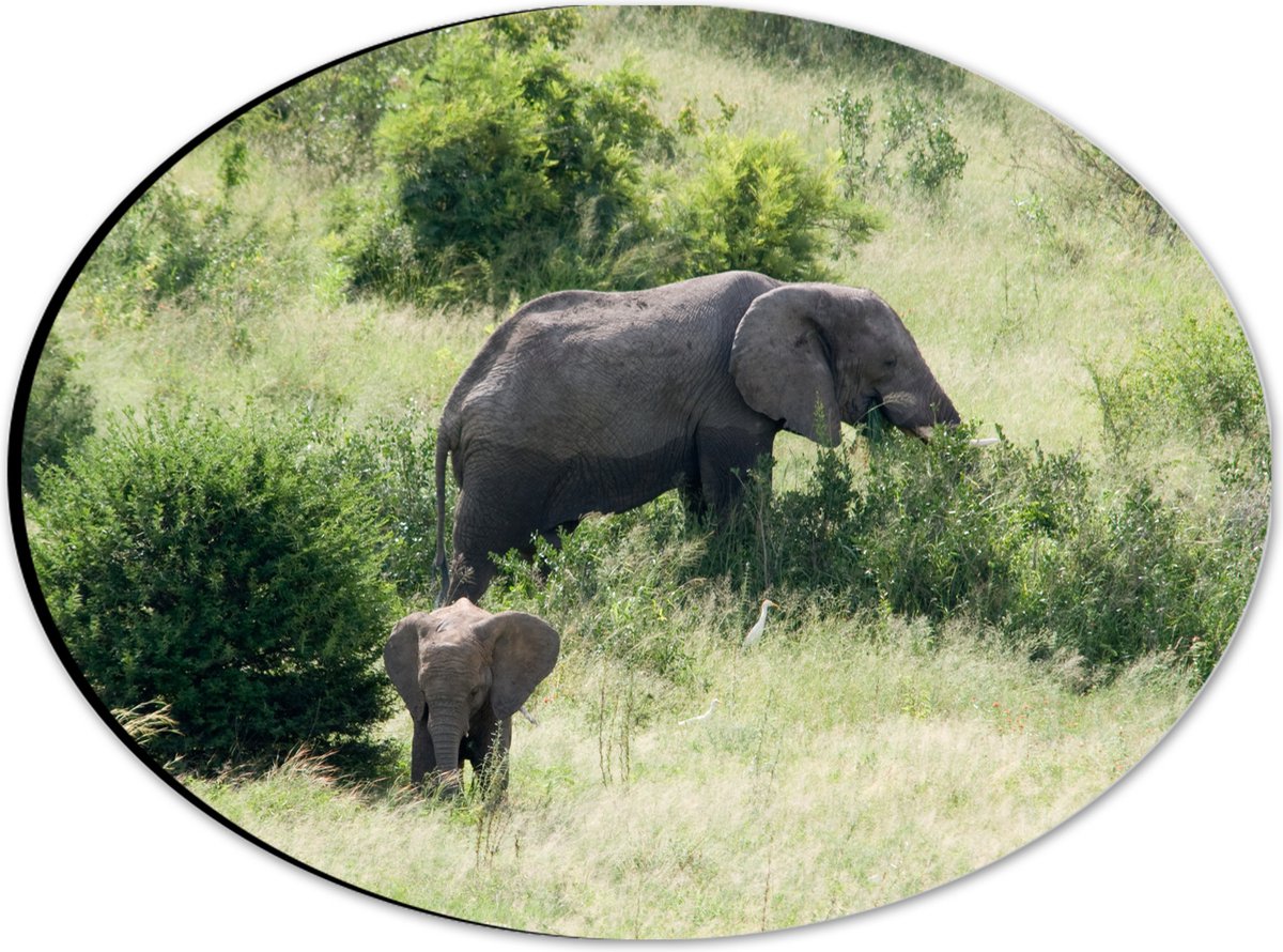 Dibond Ovaal - Moeder en Baby Olifant - 28x21 cm Foto op Ovaal (Met Ophangsysteem)