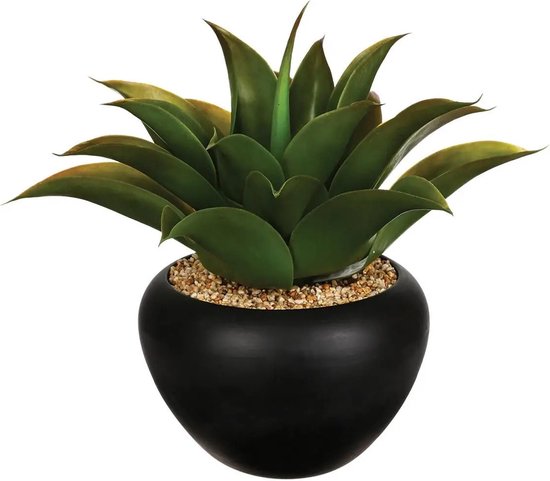 Plante Atmosphera Aloe Vera en pot céramique 37 cm