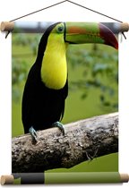 WallClassics - Affiche Textile - Toucan à Poitrine Soufre - 30x40 cm Photo sur Textile