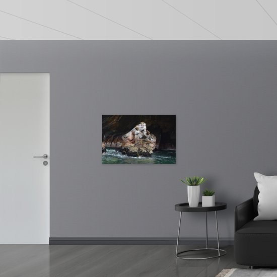 WallClassics - Poster Glossy - Phoques sur un rocher dans l' Water - 90x60 cm Photo sur Papier Poster avec Finition Brillante