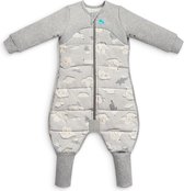 Love To Dream™ Slaappak – Pyjama en dekbed in 1 - Peuter 12-24 mnd – Winter extra warm – Grey