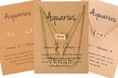 Bixorp Stars 5 Waterman / Aquarius sieraden Goudkleurig - Set van Sterrenbeeld Ketting + Oorbel + Armband