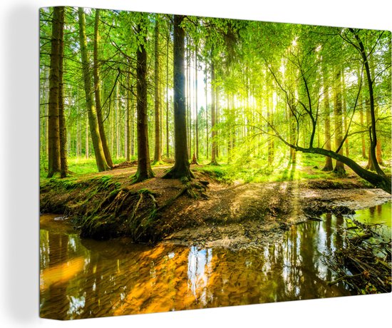 Canvas schilderij bos 90x60 - Kamer decoratie accessoires bomen - Schilderijen woonkamer - Wanddecoratie slaapkamer - Muurdecoratie natuur keuken - Wanddoek interieur binnen - Woondecoratie huis - Canvasdoek - Woonaccessoires