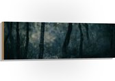 WallClassics - Hout - Dunne Takken in Donker Bos - 120x40 cm - 12 mm dik - Foto op Hout (Met Ophangsysteem)
