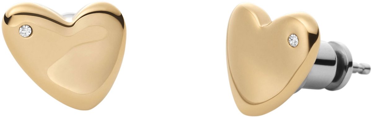 Skagen Katrine SKJ1568710 Dames Oorbellen