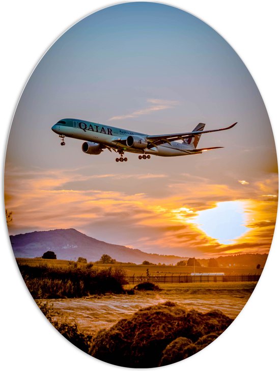 WallClassics - Plaque Ovale en Mousse PVC - Avion Blauw Volant à Basse altitude avec Soleil - Photo 60x80 cm sur Ovale (Avec Système d'accrochage)