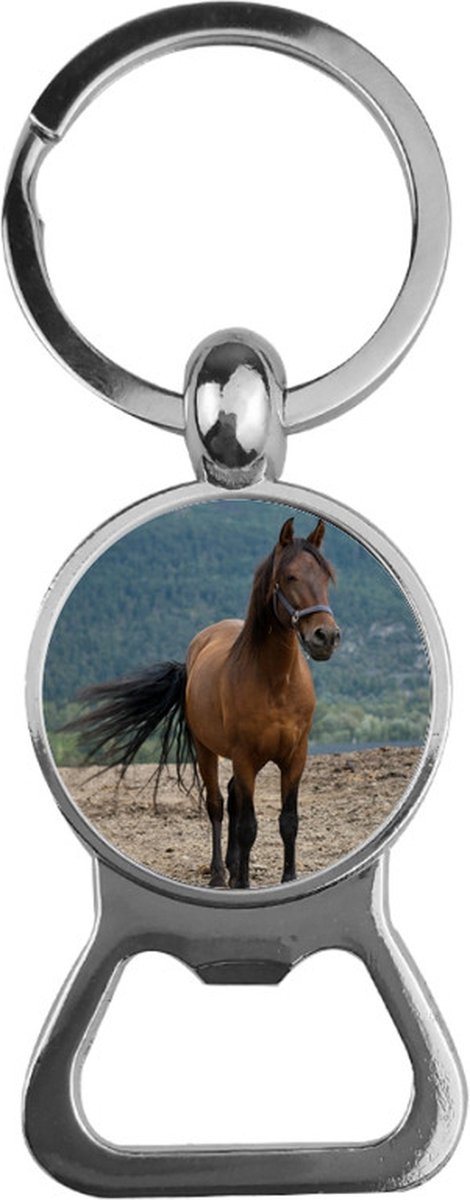 Bieropener Glas - Paard