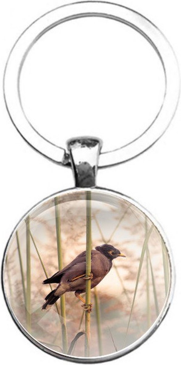 Sleutelhanger Glas - Vogel