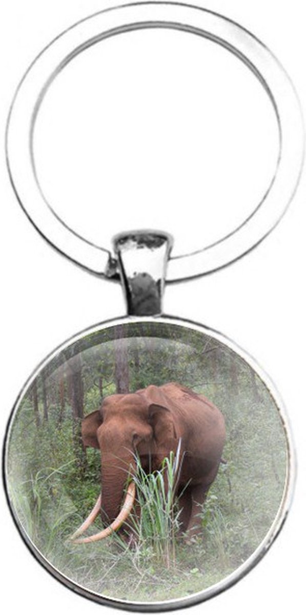Sleutelhanger Glas - Olifant