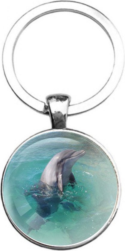 Sleutelhanger Glas - Dolfijn