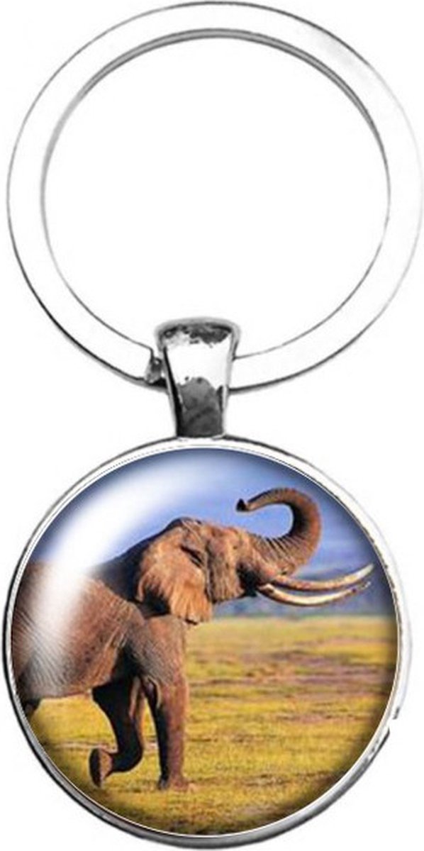Sleutelhanger Glas - Olifant