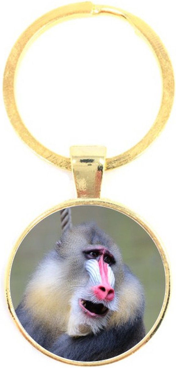 Sleutelhanger Glas - Baboon