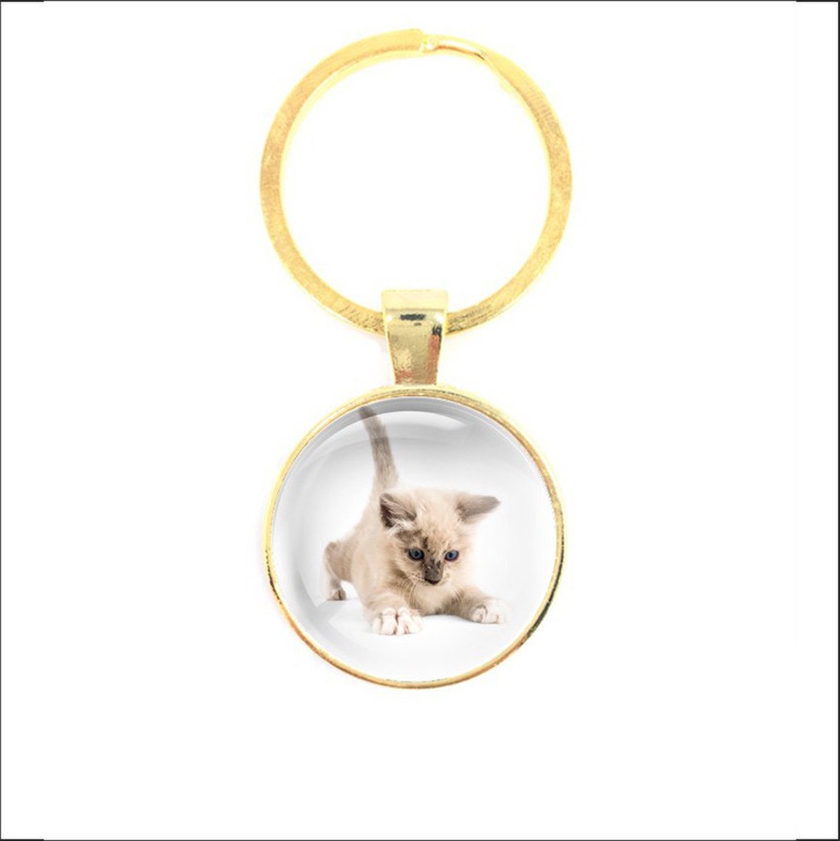 Sleutelhanger Glas - Kat