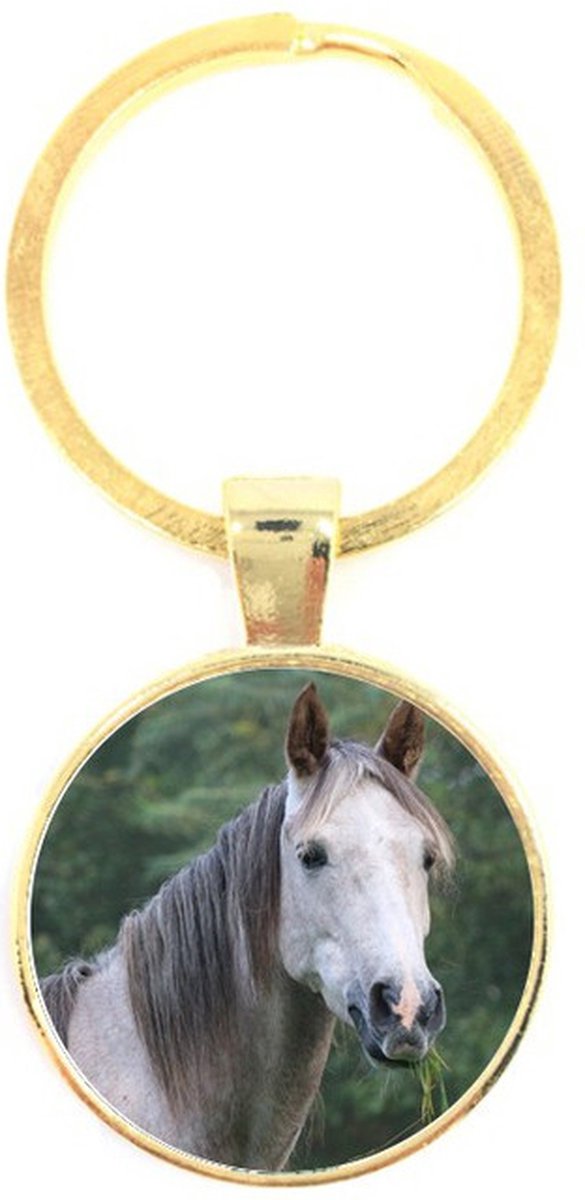 Sleutelhanger Glas - Paard