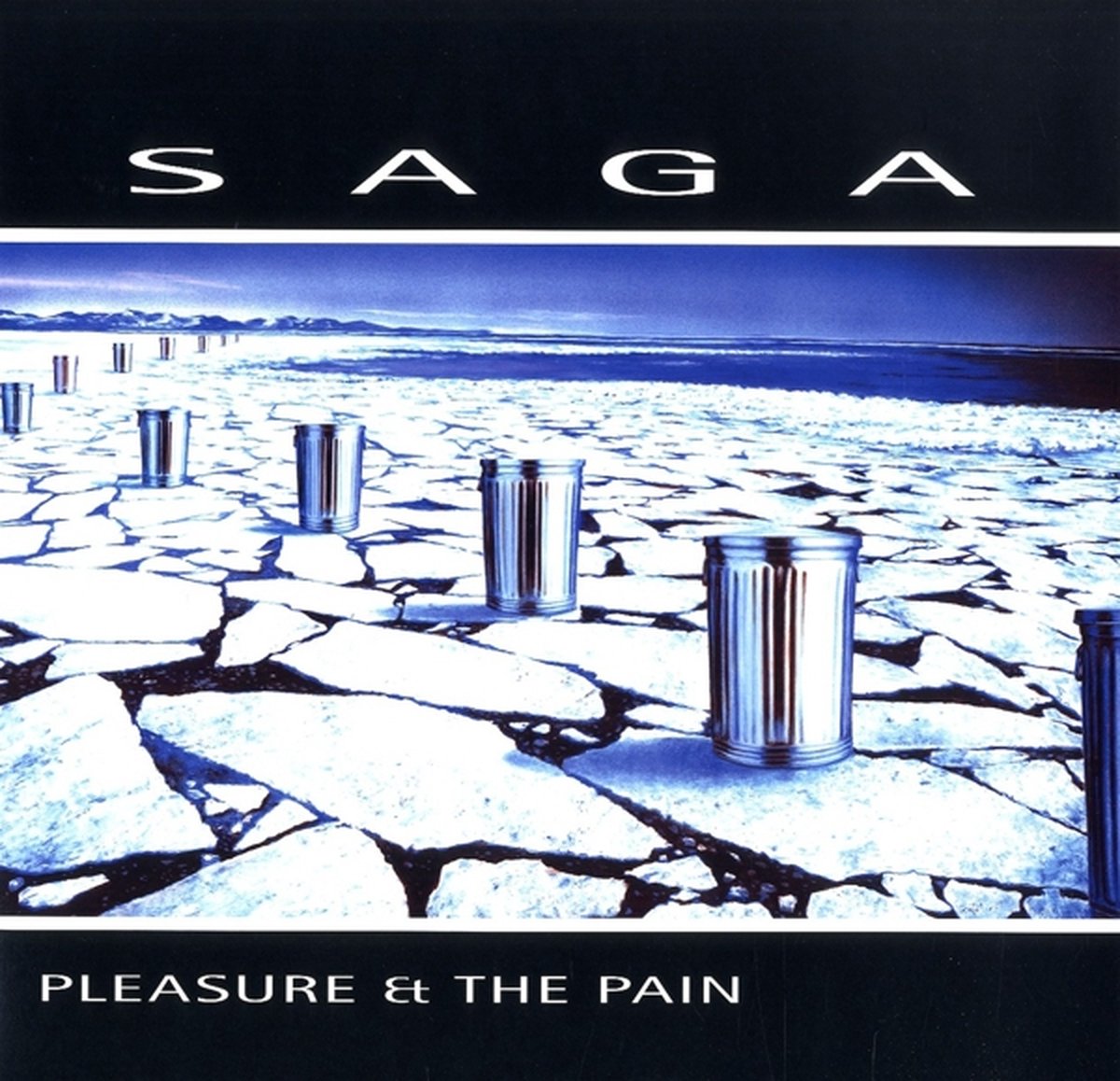 Pleasure & the Pain