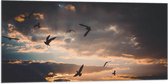 WallClassics - Vlag - Vogels in de Lucht bij Zonsondergang - 100x50 cm Foto op Polyester Vlag