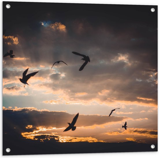 WallClassics - Tuinposter – Vogels in de Lucht bij Zonsondergang - 80x80 cm Foto op Tuinposter  (wanddecoratie voor buiten en binnen)