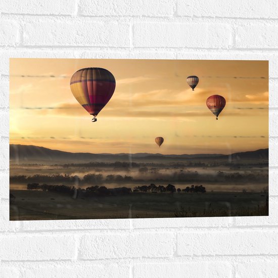 WallClassics - Muursticker - Luchtballonen Zwevend boven Open Veld - 60x40 cm Foto op Muursticker