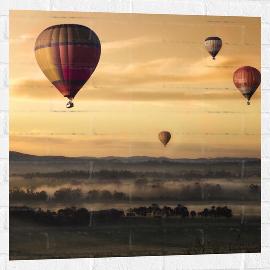 WallClassics - Muursticker - Luchtballonen Zwevend boven Open Veld - 80x80 cm Foto op Muursticker