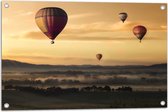 WallClassics - Tuinposter – Luchtballonen Zwevend boven Open Veld - 75x50 cm Foto op Tuinposter  (wanddecoratie voor buiten en binnen)