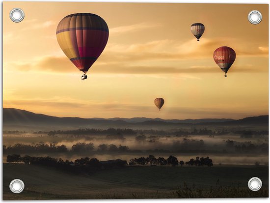 WallClassics - Tuinposter – Luchtballonen Zwevend boven Open Veld - 40x30 cm Foto op Tuinposter  (wanddecoratie voor buiten en binnen)