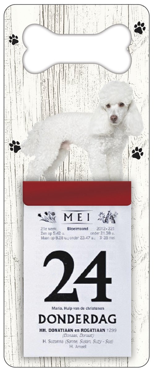 Scheurkalender 2026 Hond: Poedel
