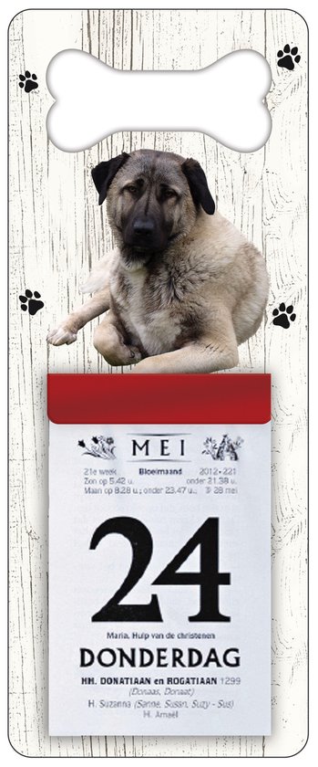 Scheurkalender 2026 Hond: Kangal