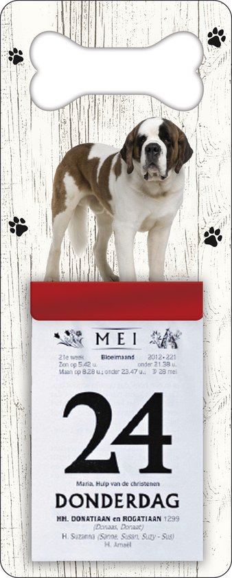 Scheurkalender 2026 Hond: Sint Bernard