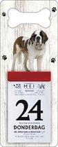 Scheurkalender 2024 Hond: Sint Bernard