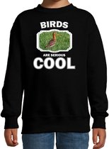 Dieren vogels sweater zwart kinderen - birds are serious cool trui jongens/ meisjes - cadeau grutto vogel/ vogels liefhebber - kinderkleding / kleding 134/146