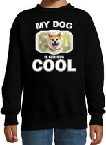 Akita inu honden trui / sweater my dog is serious cool zwart - kinderen - Akita inu liefhebber cadeau sweaters - kinderkleding / kleding 122/128