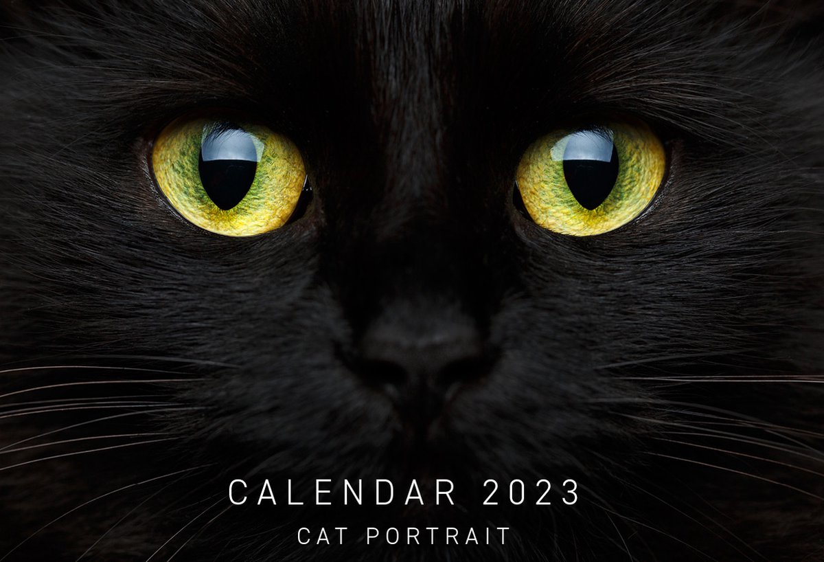 Kalender Cats