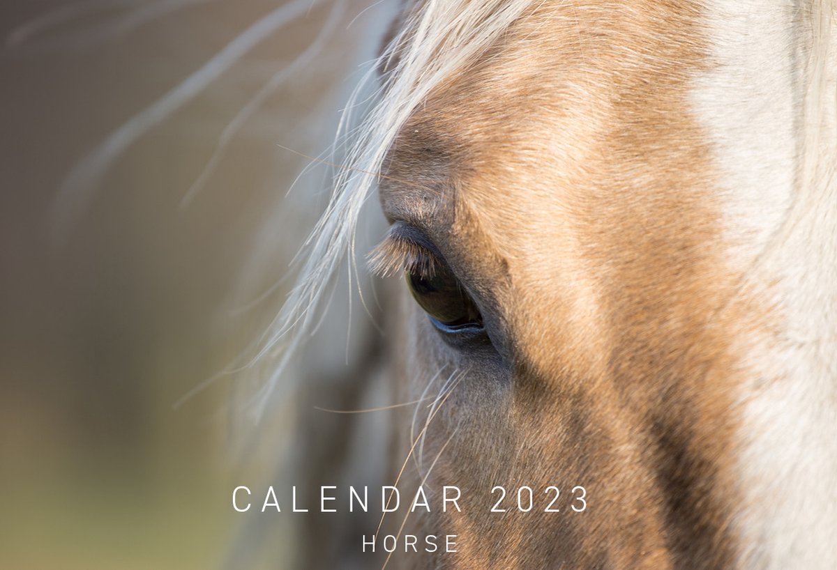 Kalender Horses