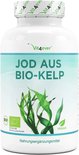Jodium tabletten Bio Kelp Extract - 365 stuks - 20