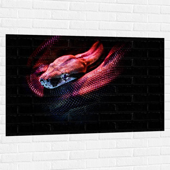 WallClassics - Muursticker - Rode Slang met Zwarte Achtergrond - 120x80 cm Foto op Muursticker